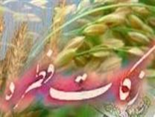 جمع آوری زکات فطره توسط کمیته امداد امام خمینی (ره) استان زنجان