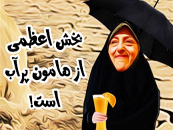 کاریکاتور/ اظهارات بانوی سبز در مورد تالاب هامون و سیستان