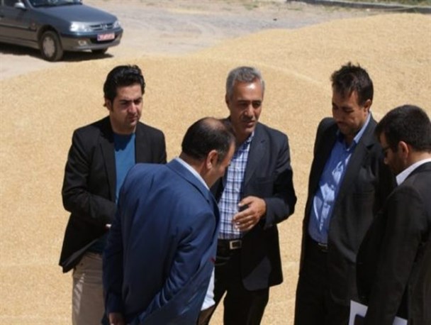 بازدید معاون فرماندار چاراویماق از مراکز خرید گندم+تصاویر