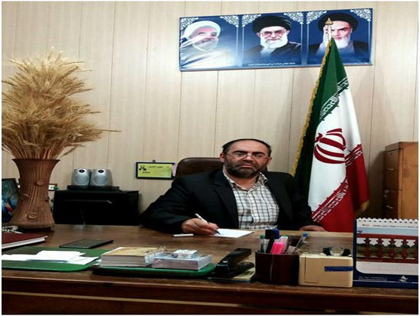 کشاورزان تناوب زراعی را در اولویت برنامه های کشت قرار دهند /کشت کلزا حدود 2 برابر گندم درآمد دارد