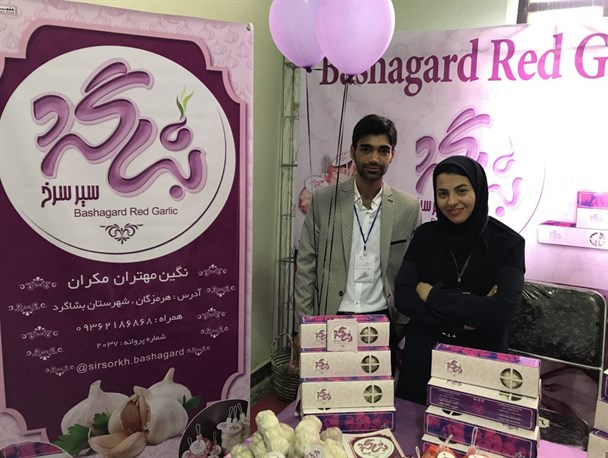 بسته بندی سیر سرخ بشاگرد /گام نخست برای فتح بازار داخلی و بین المللی سیر ارگانیک