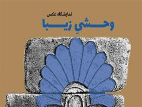نمایشگاه عکس «زیبای وحشی» با موضوع طبیعت