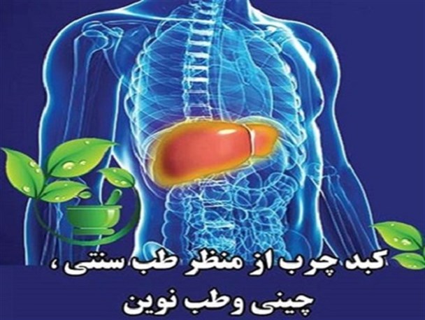 برگزاری کنفرانس کبد چرب با رویکرد طب تلفیقی در مشهد