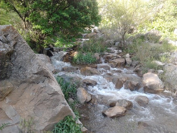تصاویر/طبیعت بکر و زیبای کهمان در الشتر