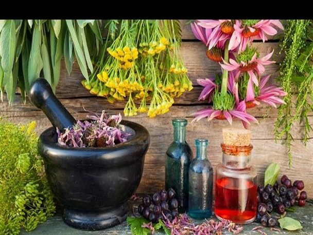 هیچ حمایتی از سوی سازمان‌های استان برای برپایی این نمایشگاه صورت نگرفت