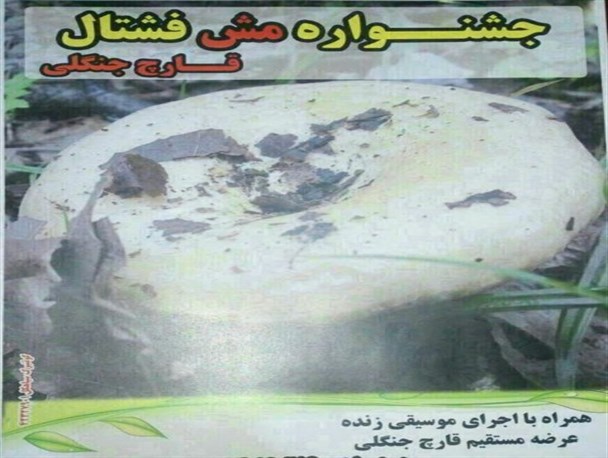 جشنواره مش فشتال برگزار می شود