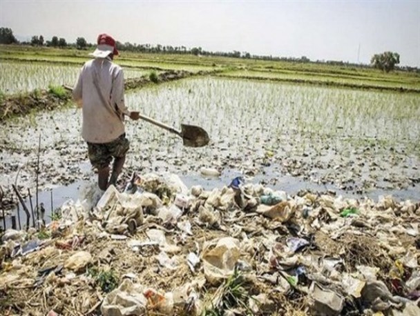 گندم و جو با طعم فاضلاب/ سرطان معده دستاورد ۱۲ سال خواب مسئولین