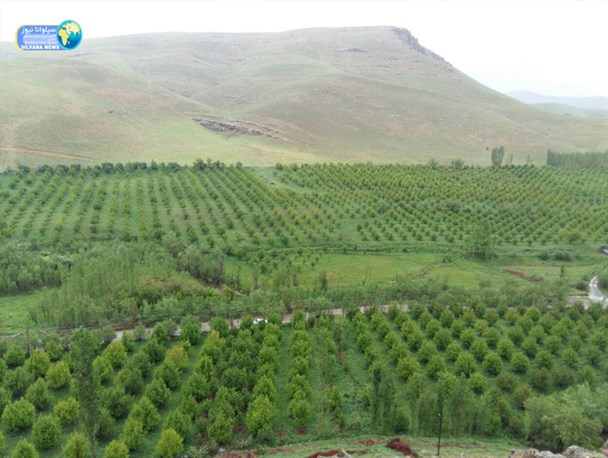 کوهی با افسانه های مختلف در روستای نرگی ارومیه