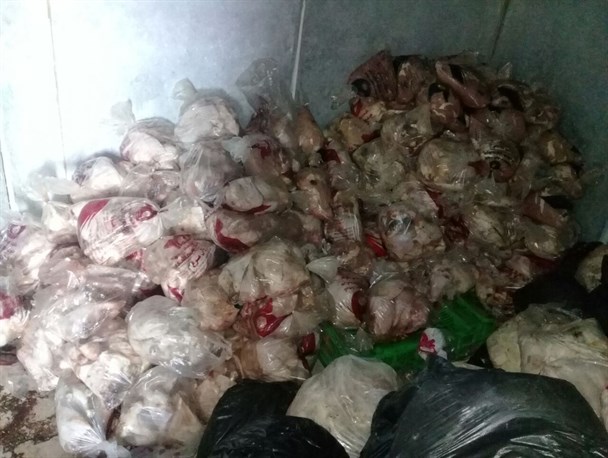 کشف ۱.۵ تن فرآورده گوشتی در سردخانه غیرمجاز شهریار