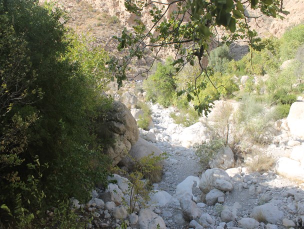 روستای گردشگری دهنه میمند به روایت تصویر