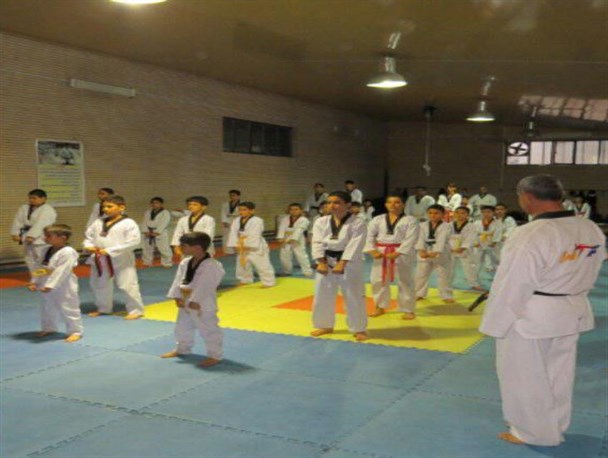 همایش تکواندو در ملایر برگزار شد/تصاویر