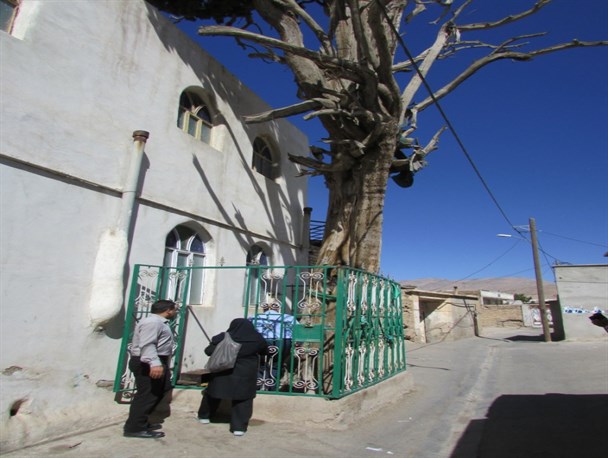 اعزام کارشناسان میراث فرهنگی به سروستان