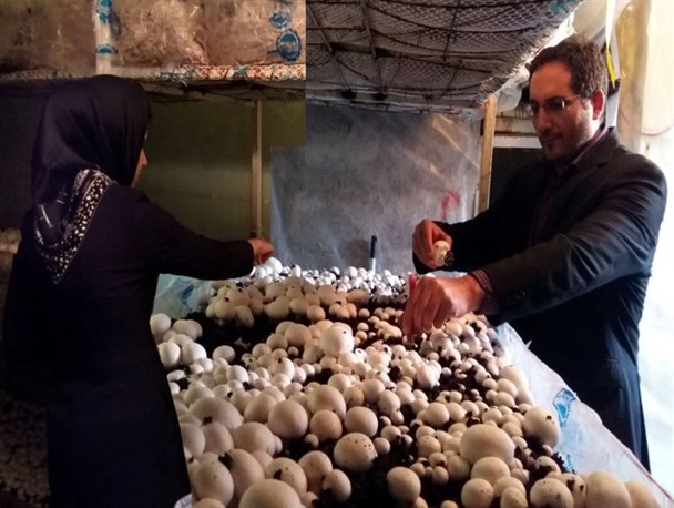 تحقق اقتصاد مقاومتی با دستان یک زوج پارس آبادی+ تصاویر