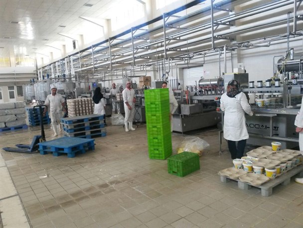 ایجاد اشتغال برای  بیش از ۱۰۰  نفر /مسئولین به جای حمایت از کارآفرینان سنگ اندازی می کنند