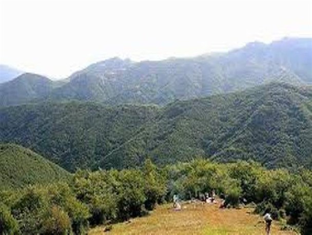 نشست تخصصی «صیانت از فندق های بومی ایران» در اردبیل برگزار می شود