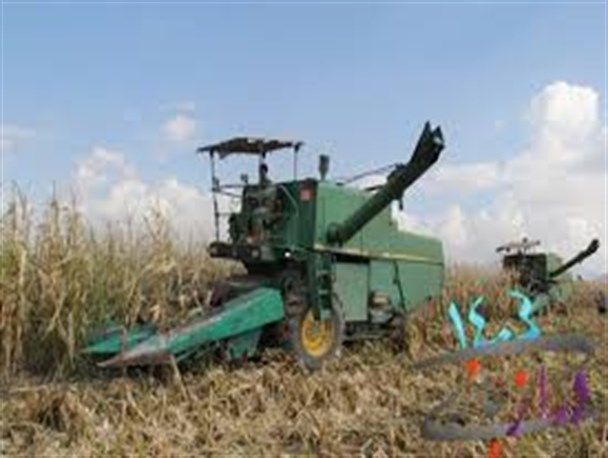 برداشت بیش از ۴۵ هزار تن ذرت دانه ای از مزارع سرپل ذهاب+تصاویر