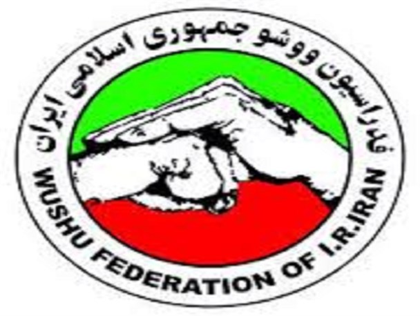 ووشو کاران کرمانی جام قهرمانی را به خانه آوردند