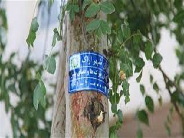 اجرای فاز اول طرح پلاک کوبی و شناسنامه دارکردن درختان اراک
