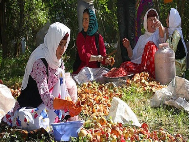 زنان روستایی قزوین گنجینه گرانبهای دانش بومی هستند