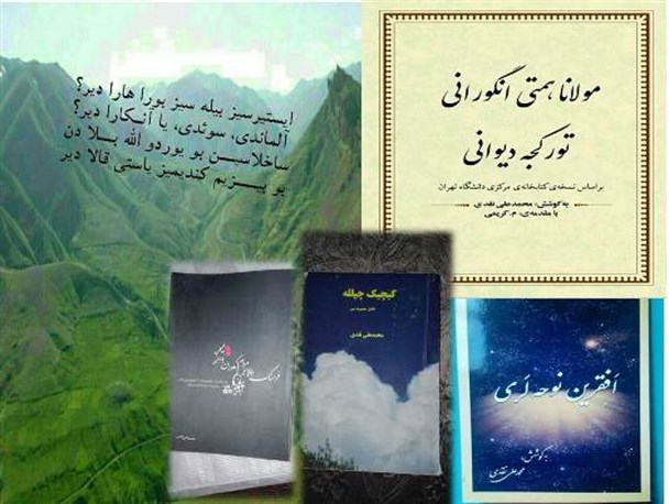 مولانا همتی انگورانی، نابغه ای که به دنیا معرفی نشده است/زندگی مکانیزه جامعه را از دنیای کتاب و شعر و ادب جدا ساخته است