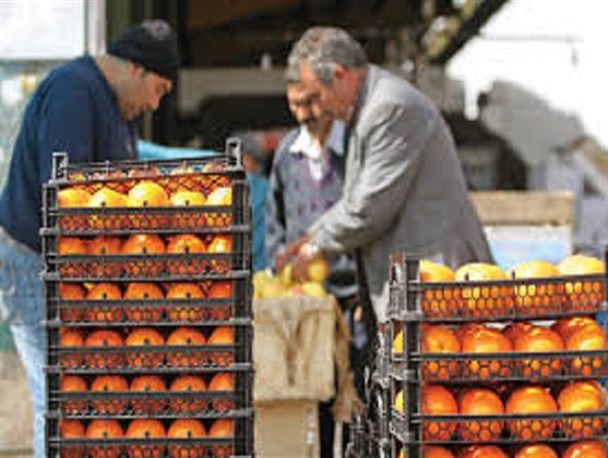ایجاد زنجیره تولید از باغ تا خانه