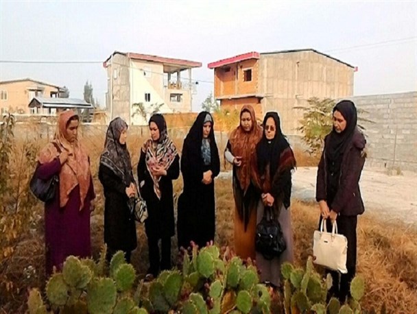 بازدید مدیر کل امور بانوان گلستان از طرحهای مشاغل خانگی در بندرترکمن + تصاویر