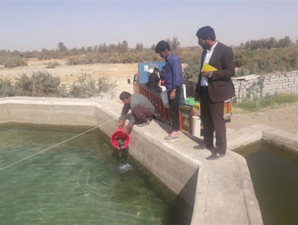 رهاسازی ۷۰ هزار قطعه بچه ماهی در استخرهای زابل/ ۲۵ تن قزل آلا برداشت خواهد شد