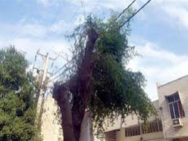 واکنش رئیس اداره برق بویراحمد به وجود تیرهای برق در وسط خیابان ها