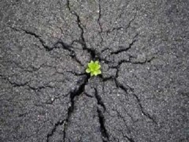 تنهایی آدم ها را می بلعد/ ضرورت مهرورزی انسان ها در زندگی