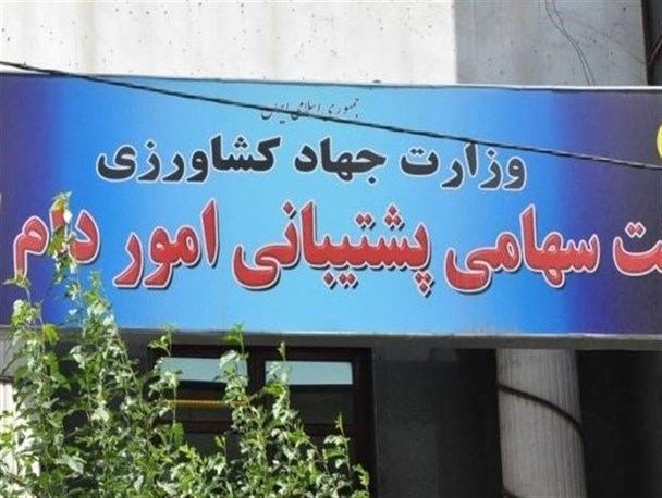 مدیرعامل جدید شرکت پشتیبانی امور دام کشور منصوب شد