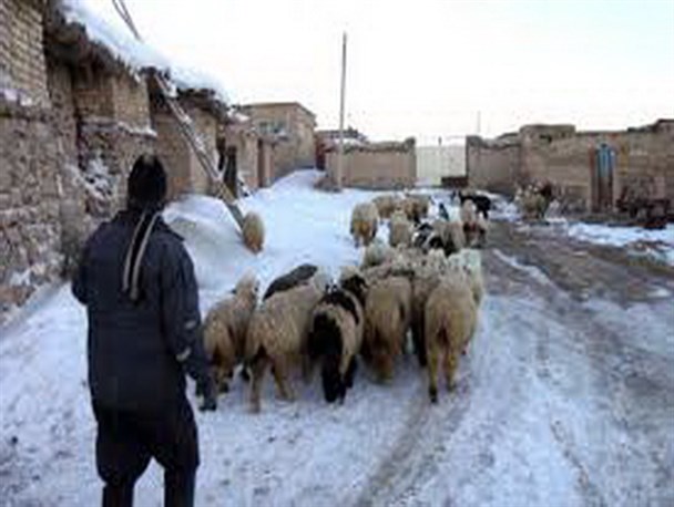 از تخریب خانه های روستایی تا بهانه های بهداشتی