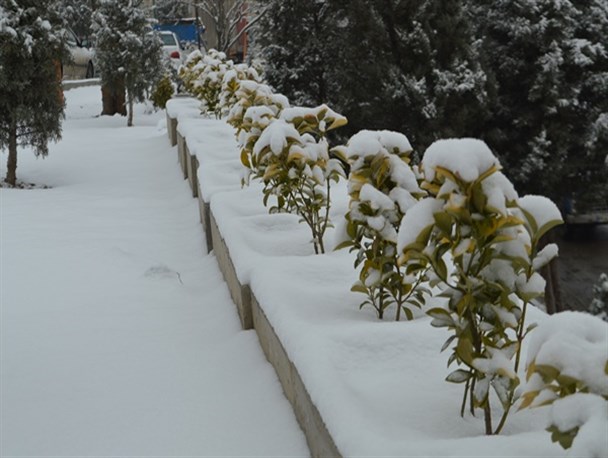 بارش 20 سانتی متری برف در میاندوآب/ دمای هوای میاندوآب باز هم کاهش می یابد