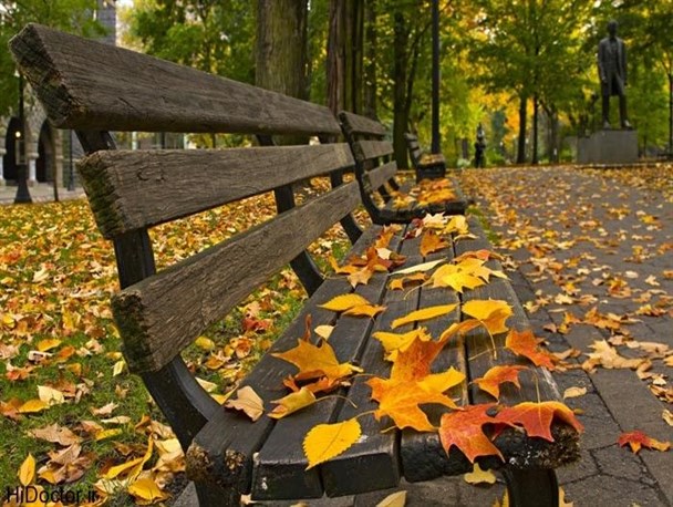 زیبایی برگ ریزان پاییز در کرج + تصاویر
