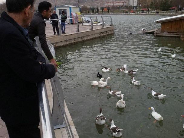 برنامه "مهمانی مرغابی ها" برگزار شد