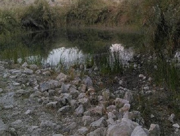 نبود آب، آبادانی فیروزآباد را تهدید میکند