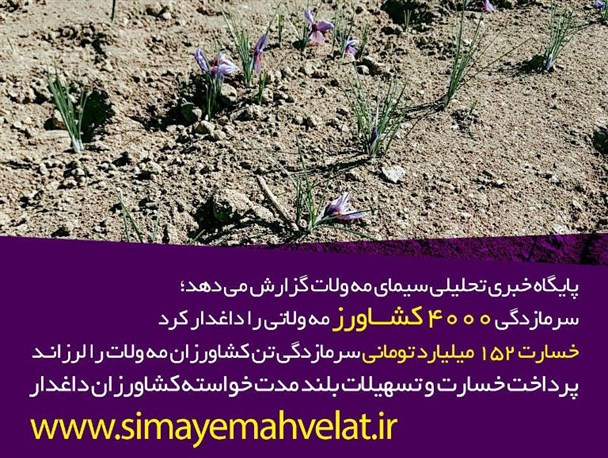 سرمازدگی ۴۰۰۰ کشاورز مه ولاتی را داغدار کرد/ خسارت۱۵۲ میلیارد تومانی سرما زدگی تن کشاورزان مه ولات را لرزاند/ پرداخت خسارت و تسهیلات بلند مدت خواسته کشاورزان داغدار