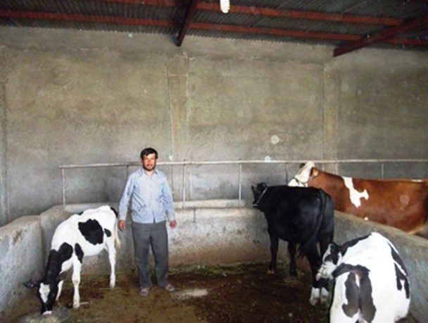 وعده های سرخرمنی مسئولین، دامداران اردلی را خانه نشین کرد