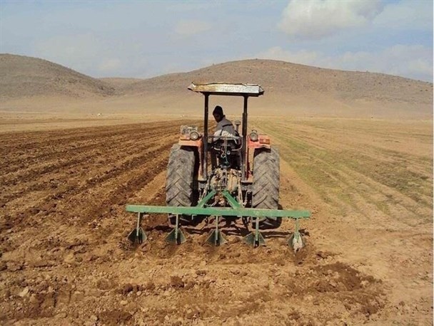 کشاورزان زنجانی پای کار آمدند