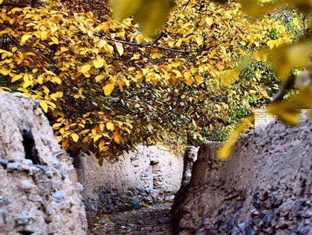 جلوه‌گری پاییز در روستای «انجدان»