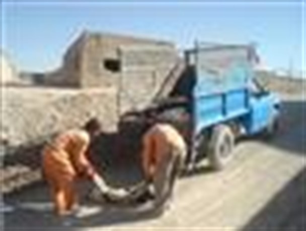 اعلام‌ مناقصه‌اتلاف سگ های ولگرد در خرمشهر!