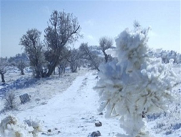 برف زمستانی در دینارکوه ایلام+تصاویر