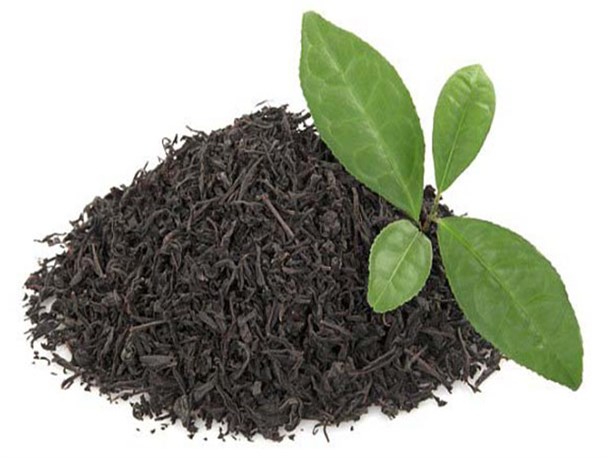 جای خالی حمایت از چای ایرانی در رسانه ملی/ رقابت با کالاهای خارجی با فرآوری تولیدات داخلی ممکن می شود