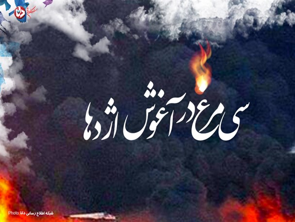 پوستر/سی‌‌‌‌‌‌مرغ در آغوش اژدها