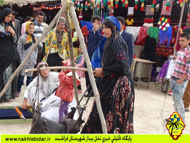 جشن بزرگ ایل قشقایی در فراشبند برگزار شد + تصاویر