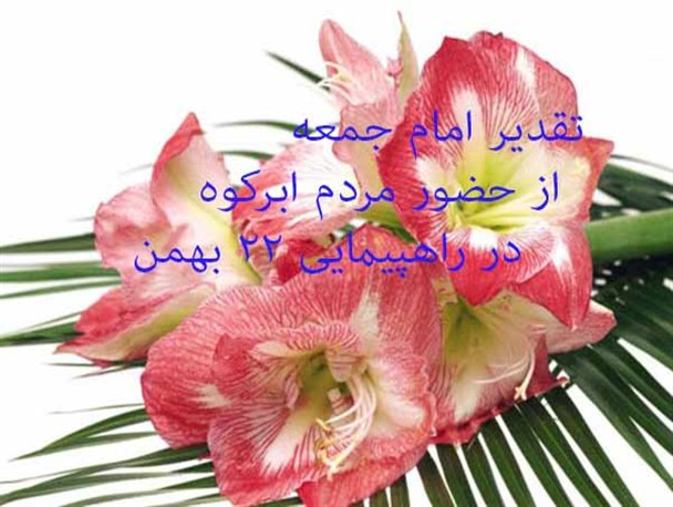 تقدیر امام جمعه از حضور باشکوه مردم ابرکوه در راهپیمایی 22 بهمن