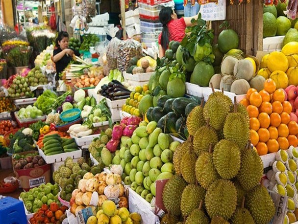 بازار داغ میوه های خارجی در جنوب شرق/ چشمک چیکو و کاکتوسی به سبد غذایی ایرانیان
