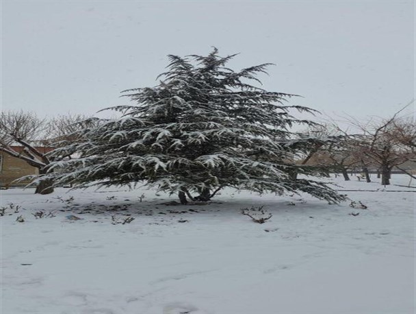 سفید پوش شدن شهر الوند در قاب تصویر