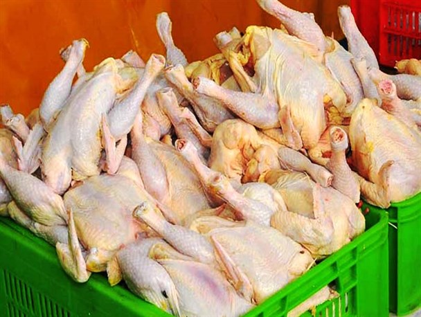 صادرات گوشت مرغ از ابتدای اسفند تا ماه رمضان ممنوع شد