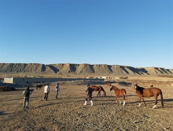 «مادیون» با موضوع کارآفرینی آماده پخش شد