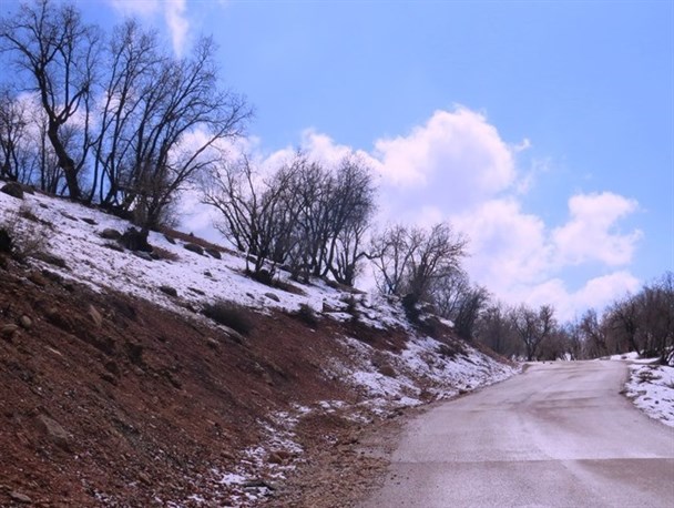 رخت سفید بر تن پارک جنگلی پایتخت طبیعت ایران